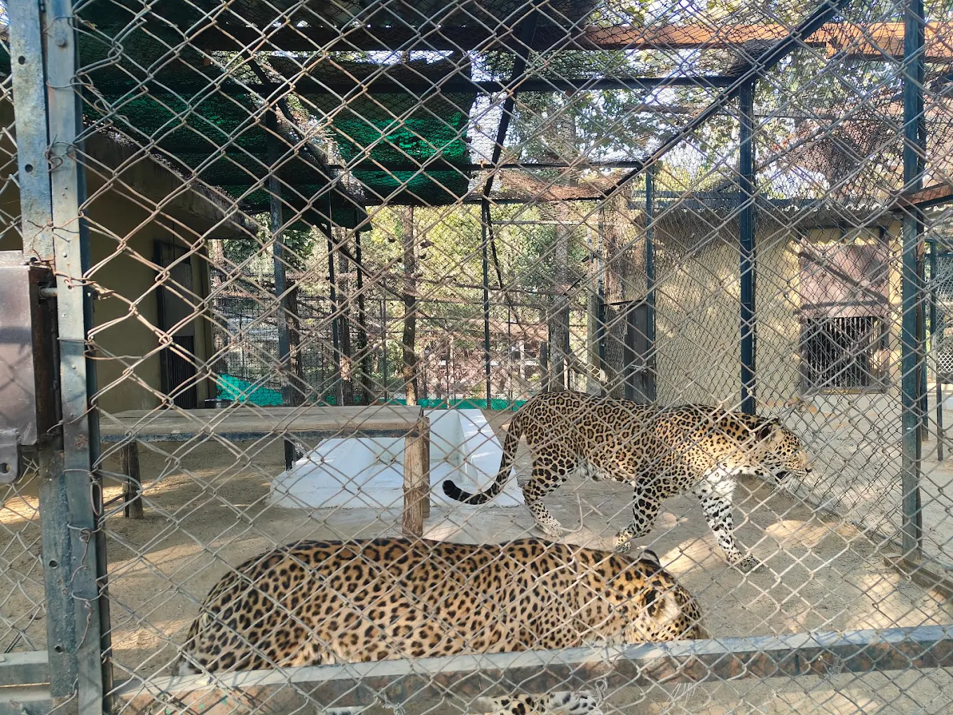 Dehradun Zoo, photo 3 of 7