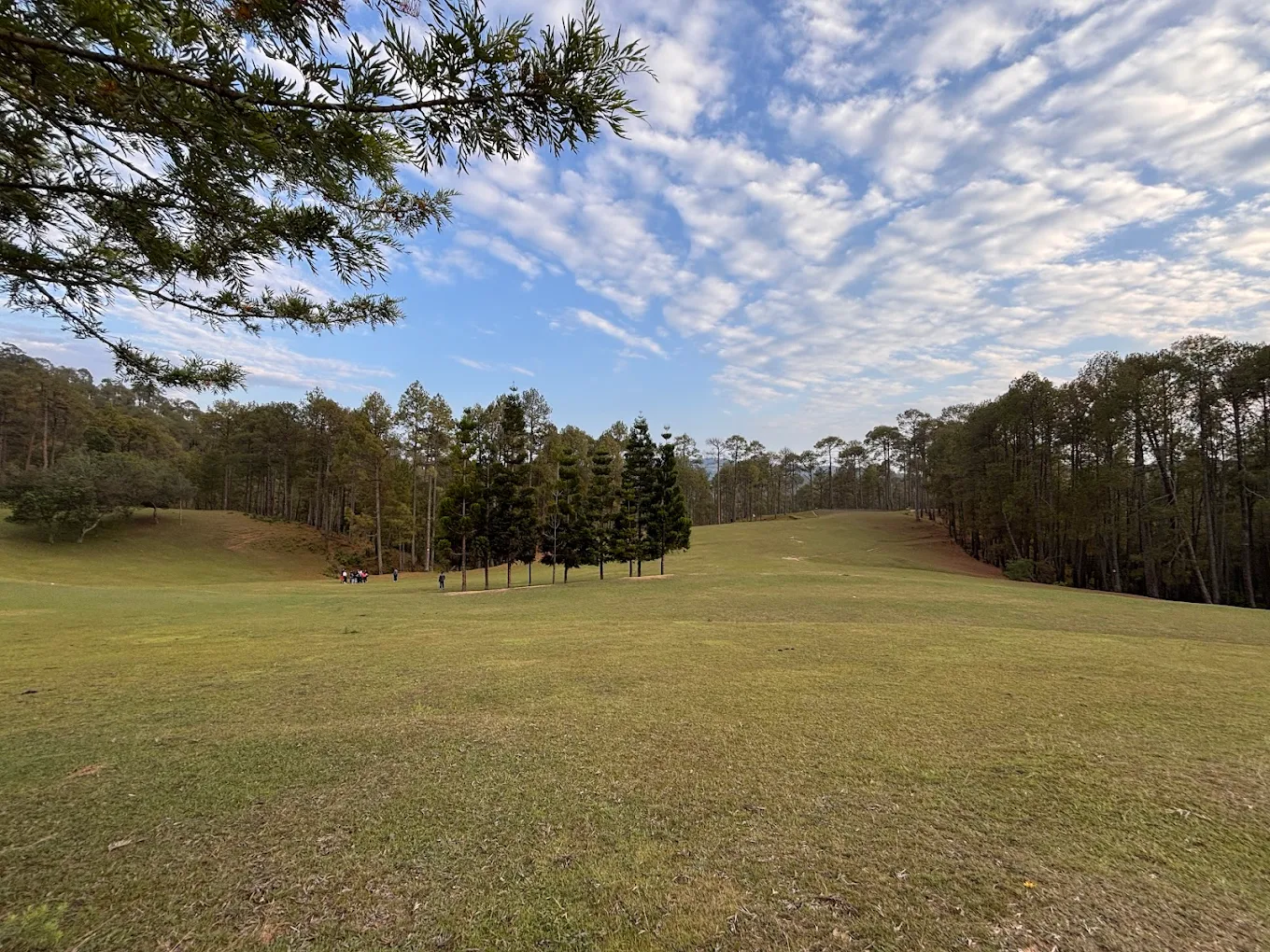 Golf Course Ranikhet, photo 1 of 11