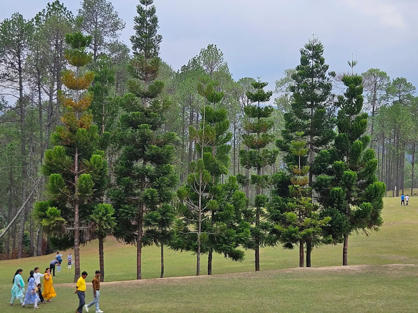 Ranikhet, Uttarakhand, photo 4
