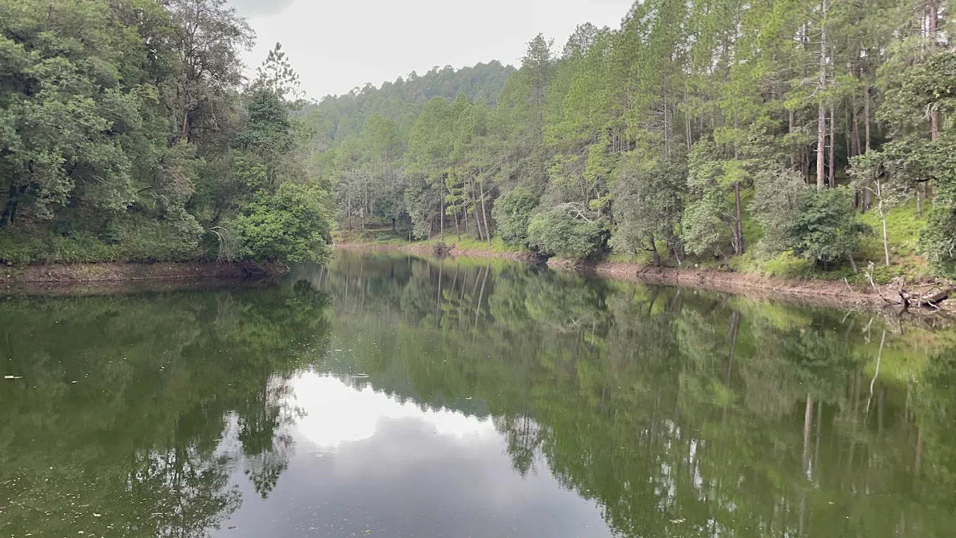 Kausani, Uttarakhand, photo 3