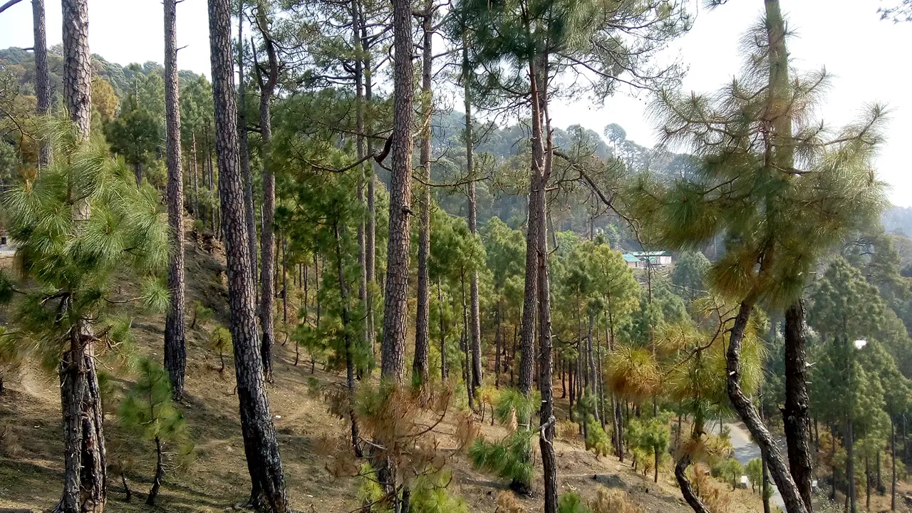 Sunset point, photo 1 of 6