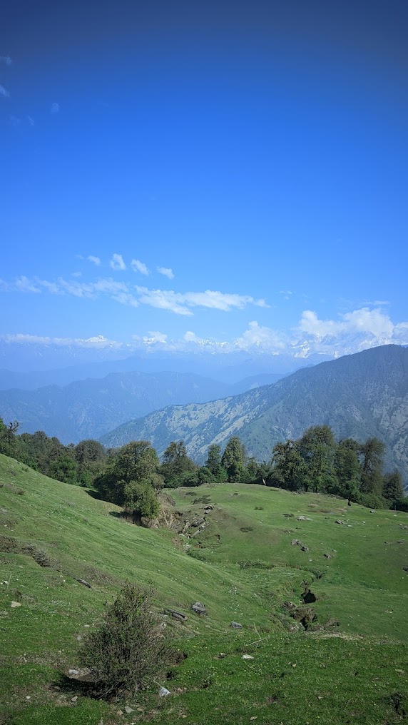 Rohini Bugyal, photo 3 of 5