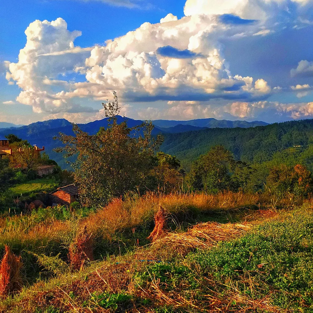 Almora, Uttarakhand, photo 2