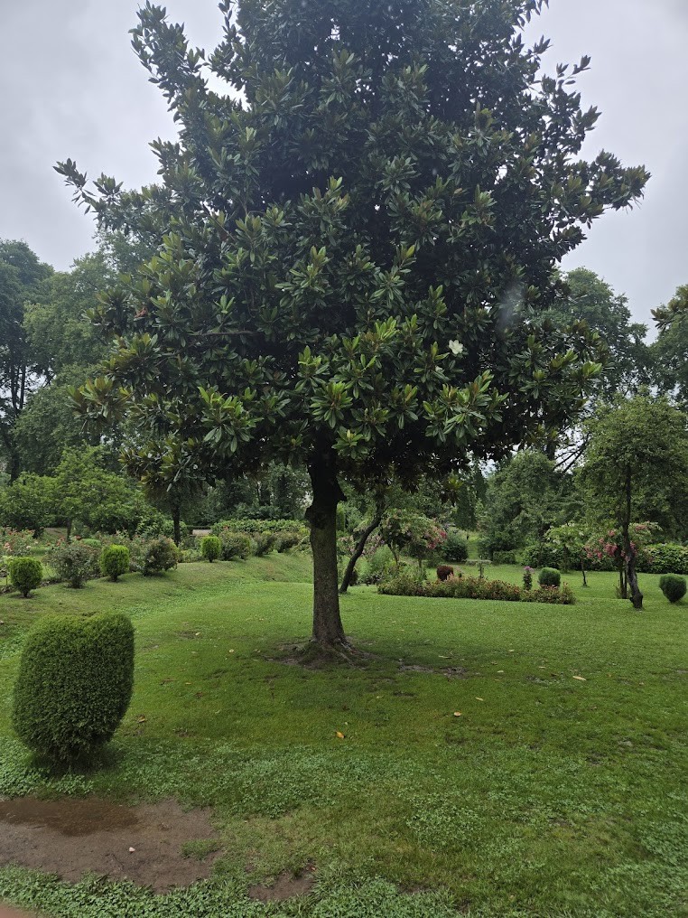 Mughal Heritage, photo 3 of 7