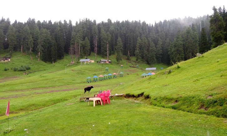 Khilanmarg Woods, photo 4 of 7