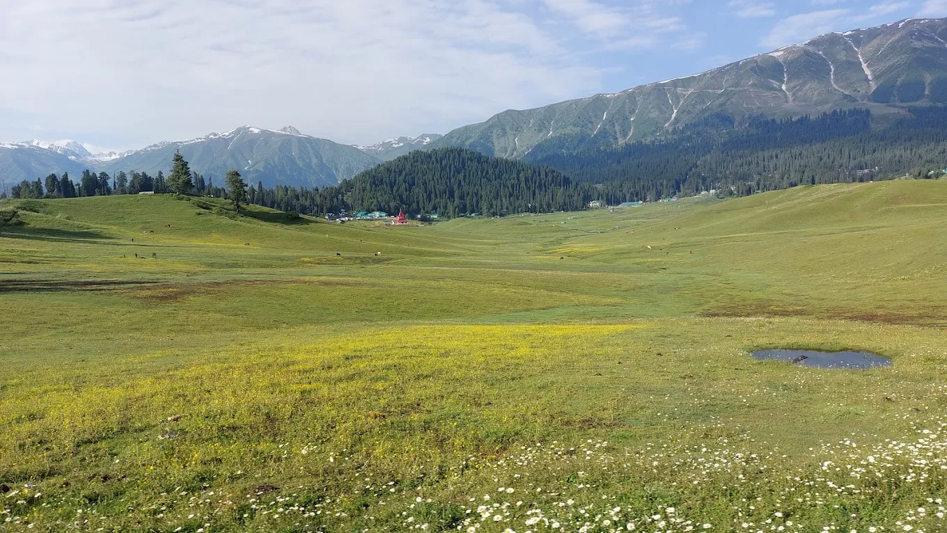Gulmarg Wildlife Sanctuary, photo 4 of 11