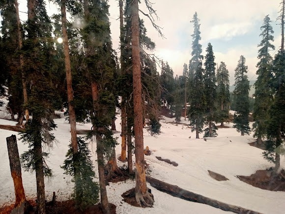 Snow Adventure, photo 1 of 5