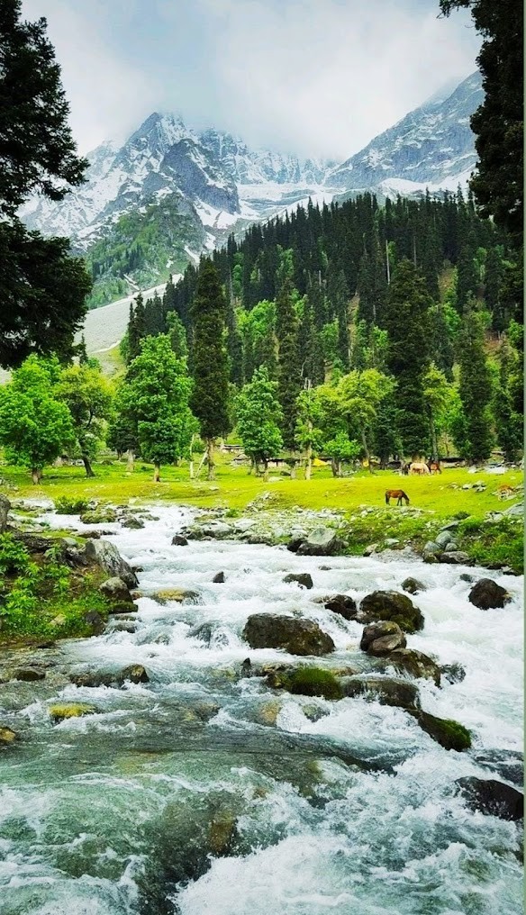 Betab Valley Chandanwari, Pahalgam J&K., photo 3 of 8