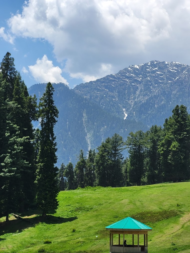 Pahalgam, Jammu and Kashmir, photo 4