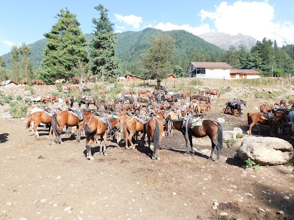 Horse π riding in pahalgam, photo 1 of 8