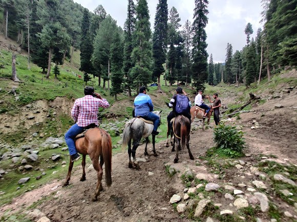 Horse π riding in pahalgam, photo 2 of 8
