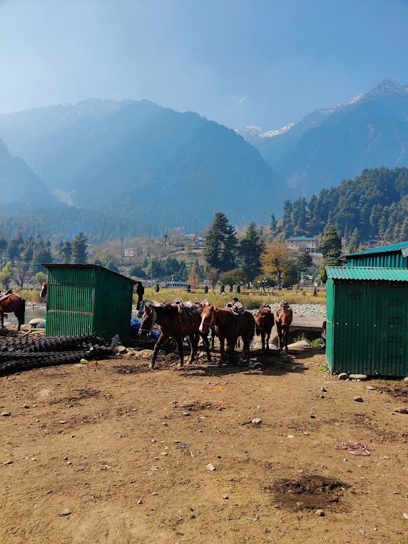 Horse π riding in pahalgam, photo 4 of 8