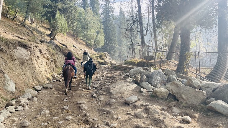 Sonamarg, Jammu and Kashmir, photo 2