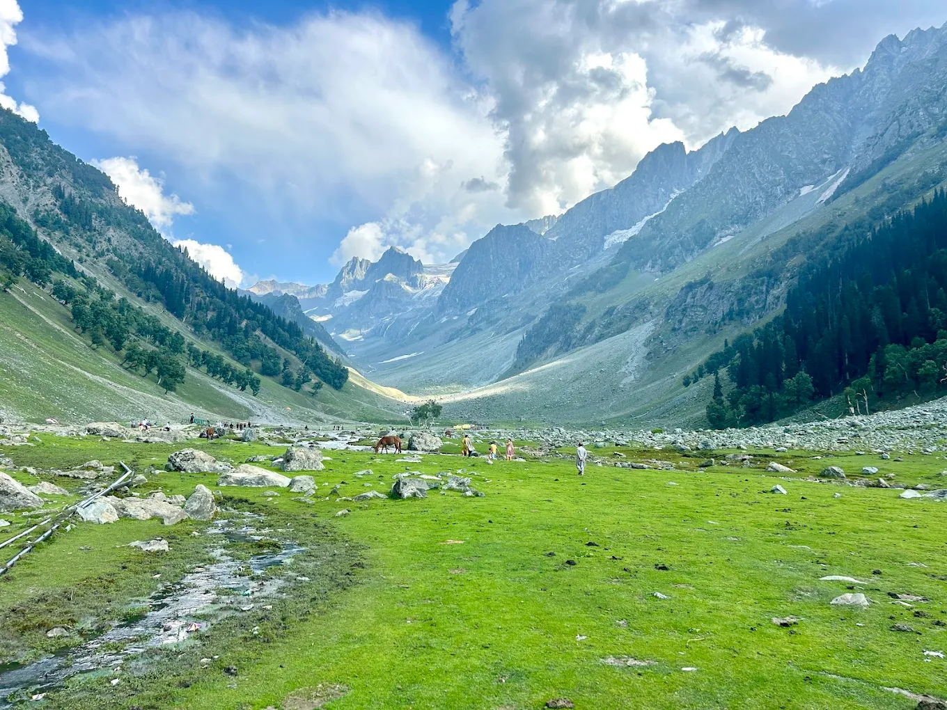 OYO 5546 Hotel Taj Mahal Pahalgam, photo 2 of 9
