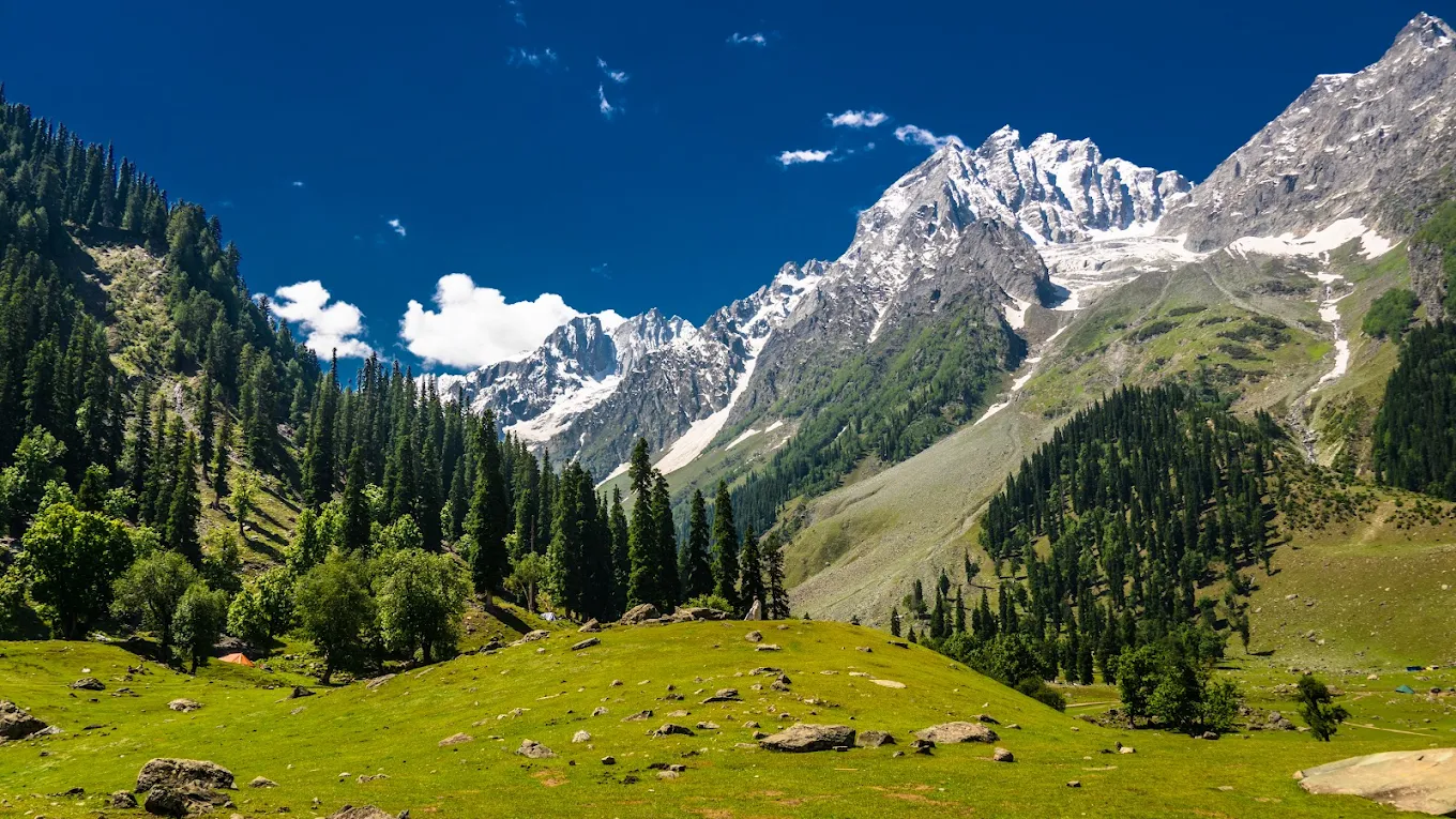 OYO 5546 Hotel Taj Mahal Pahalgam, photo 4 of 9