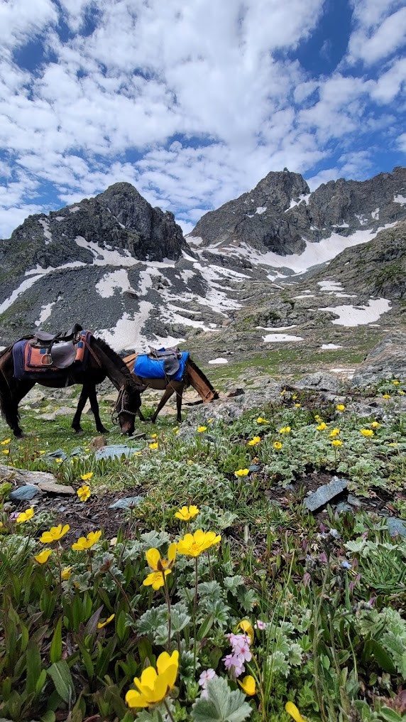 Nichnai Pass, photo 1 of 8