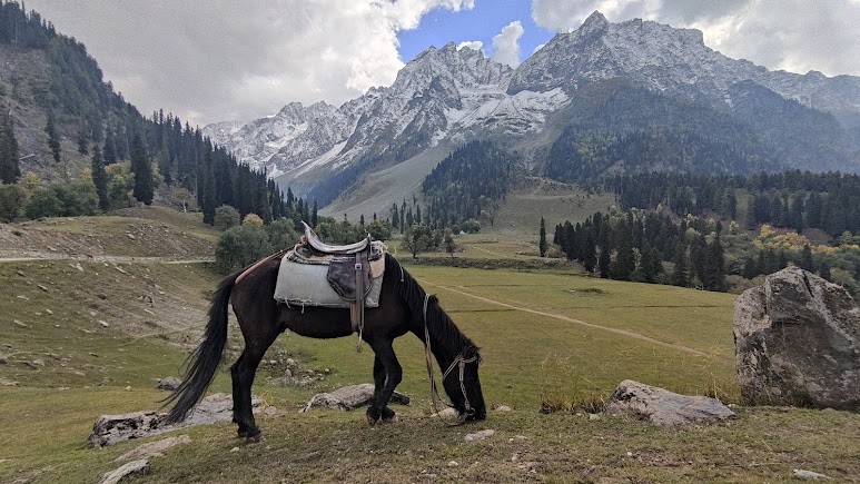 SONMARG CAMPING GROUND, photo 2 of 6