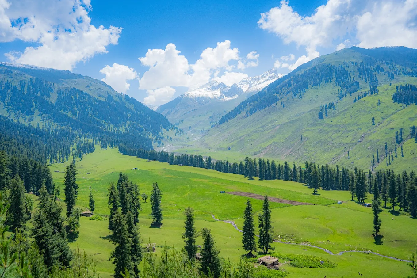 Bhaderwah, Jammu and Kashmir, photo 3