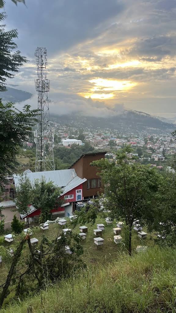 Doda, Jammu and Kashmir, photo 2