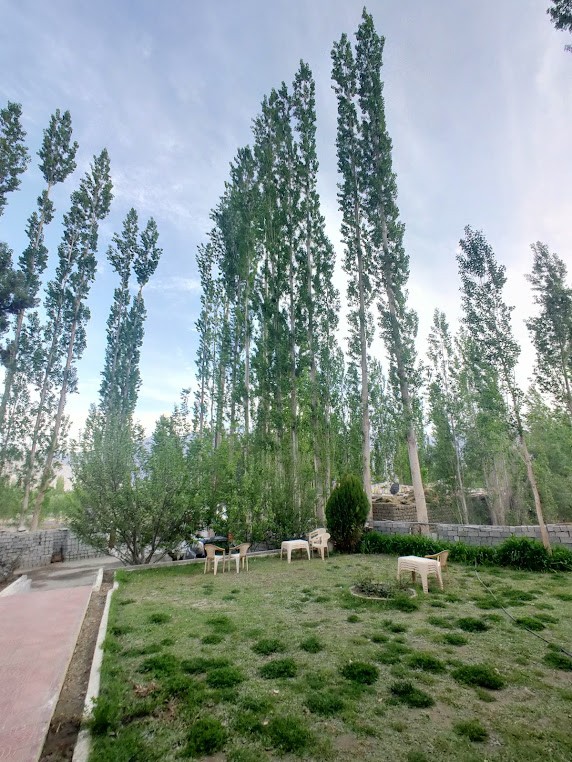 Nubra Village, photo 4 of 7