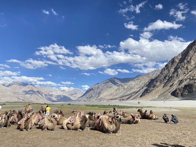 Nubra Valley, photo 2 of 5