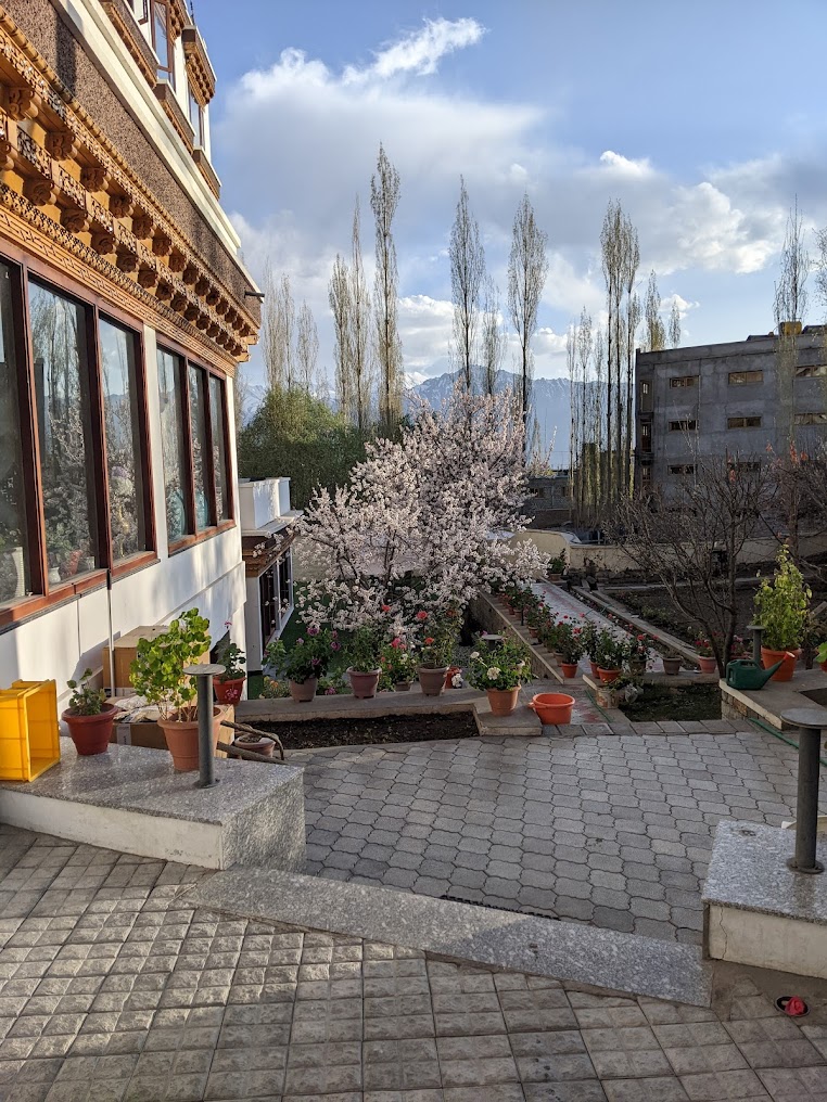 Leh, photo 3 of 7