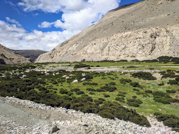 Tso Moriri, photo 2 of 6