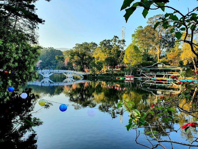 Ward's Lake, photo 4 of 6
