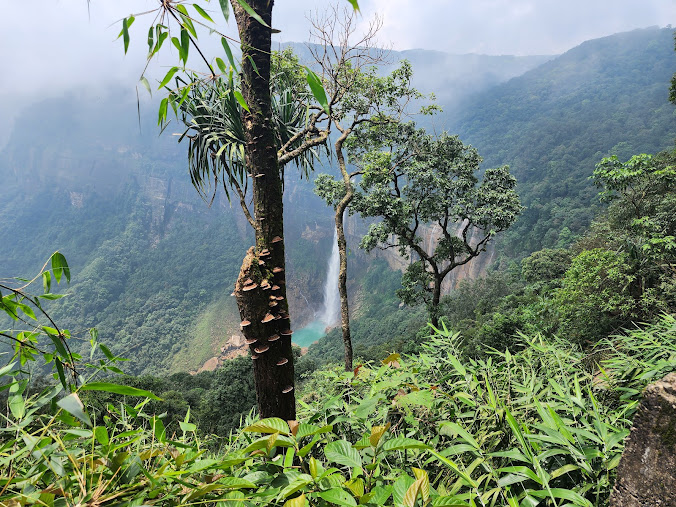 NohKaLikai Falls, photo 3 of 10