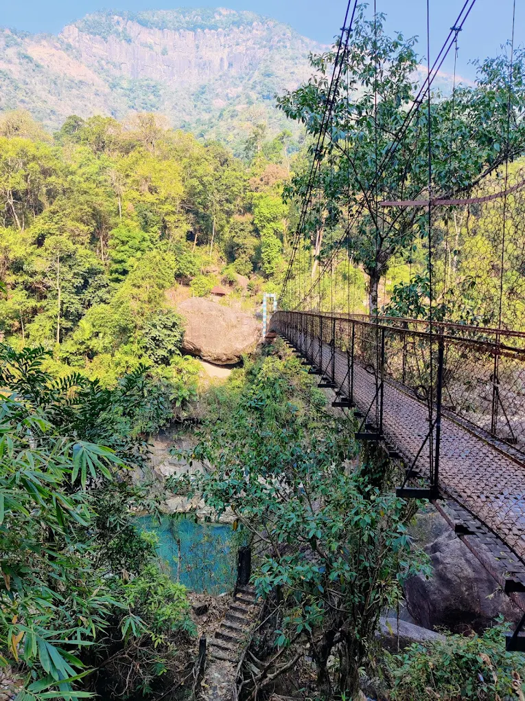 Double Decker Living Root Bridge, photo 4 of 8
