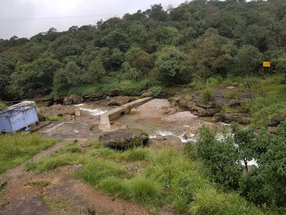 Māwsynrām, Meghalaya, photo 3