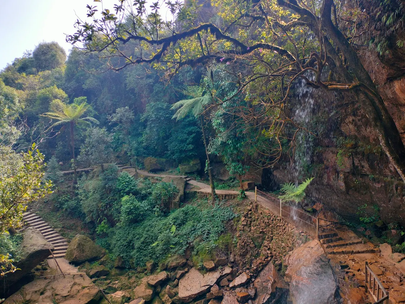 Nongriat, Meghalaya, photo 2