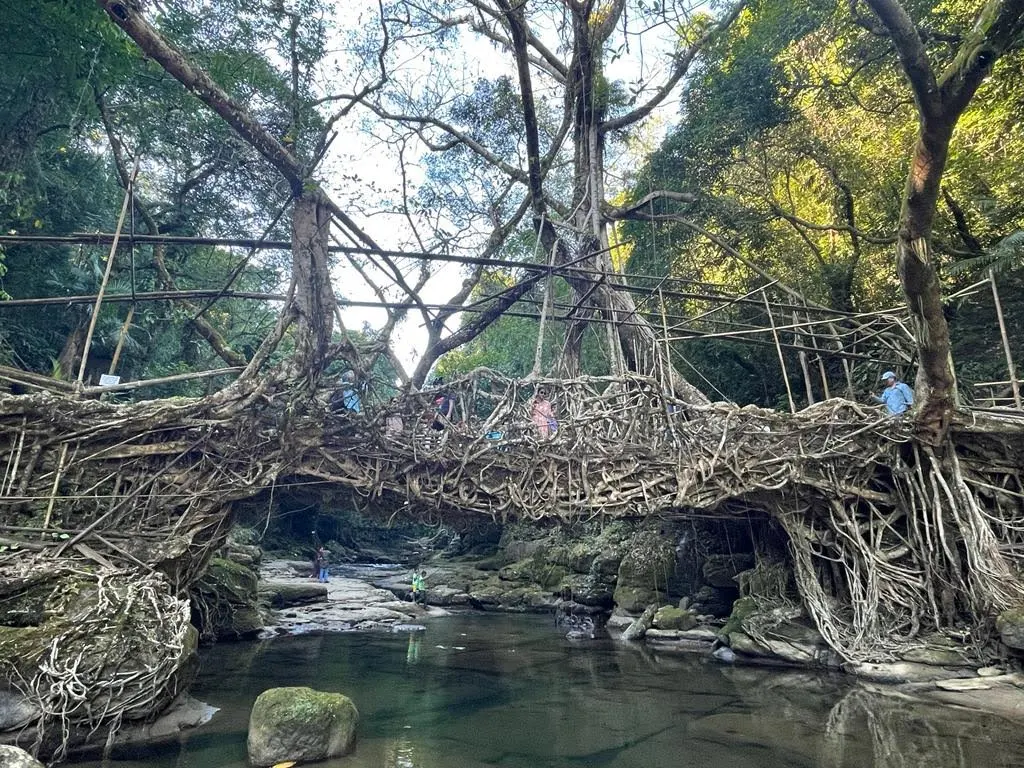 Living Root Bridge, Riwai Village, photo 1 of 9