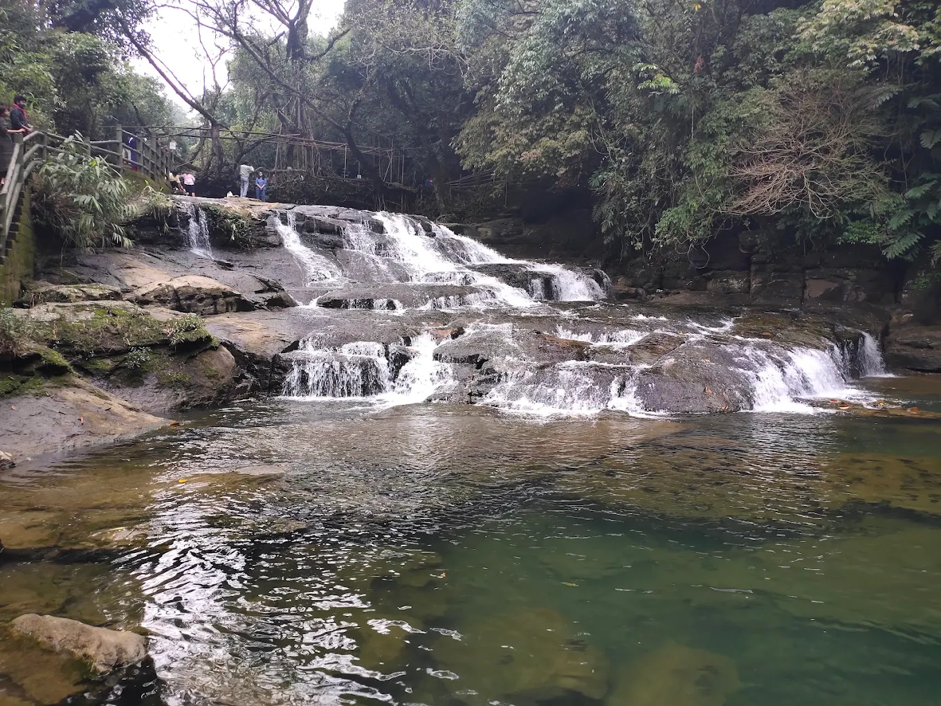 Living Root Bridge, Riwai Village, photo 2 of 9