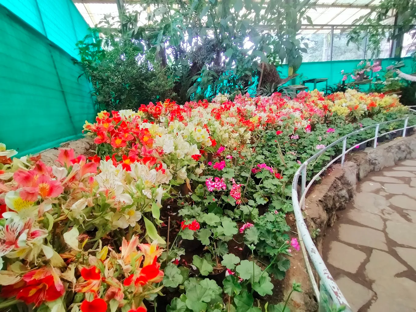 Flower Exhibition Centre - Ridge Park., photo 2 of 10