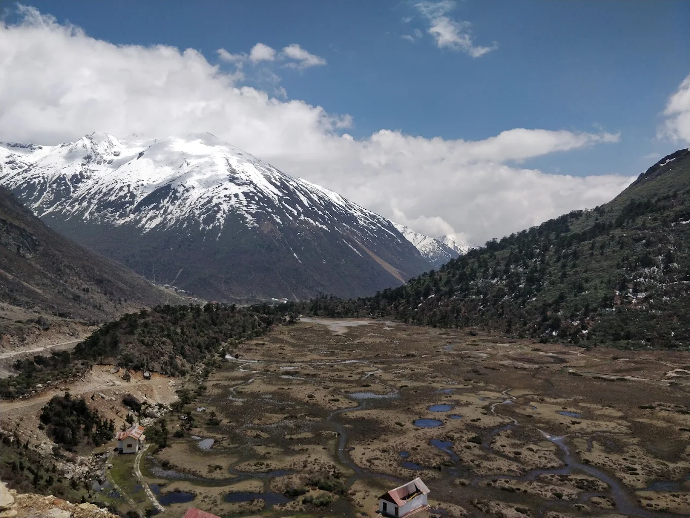 Chopta Valley View Point, photo 1 of 11