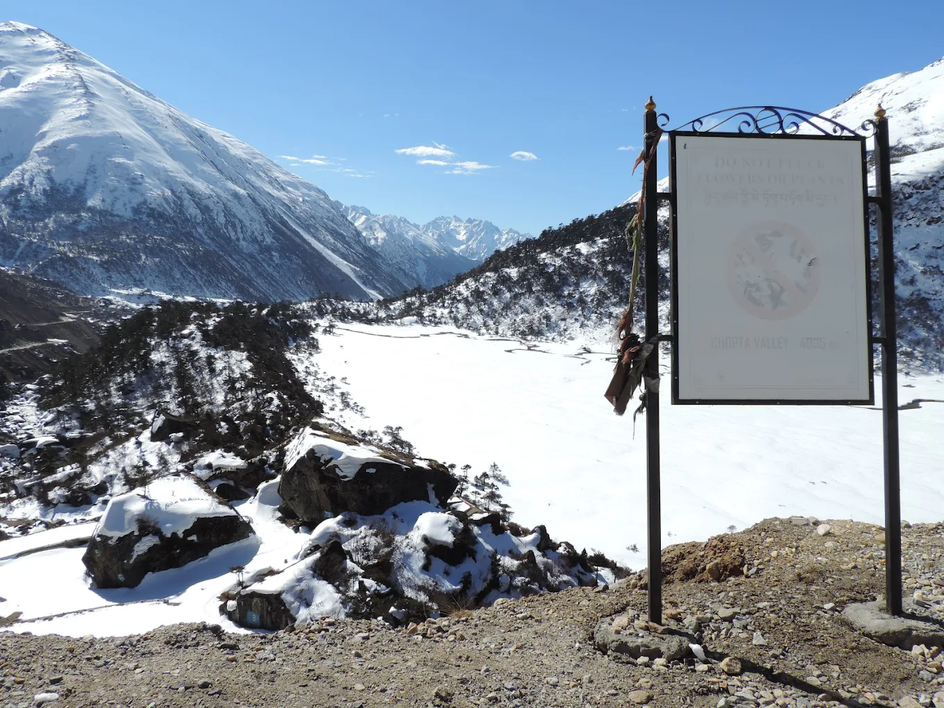 Chopta Valley View Point, photo 4 of 11