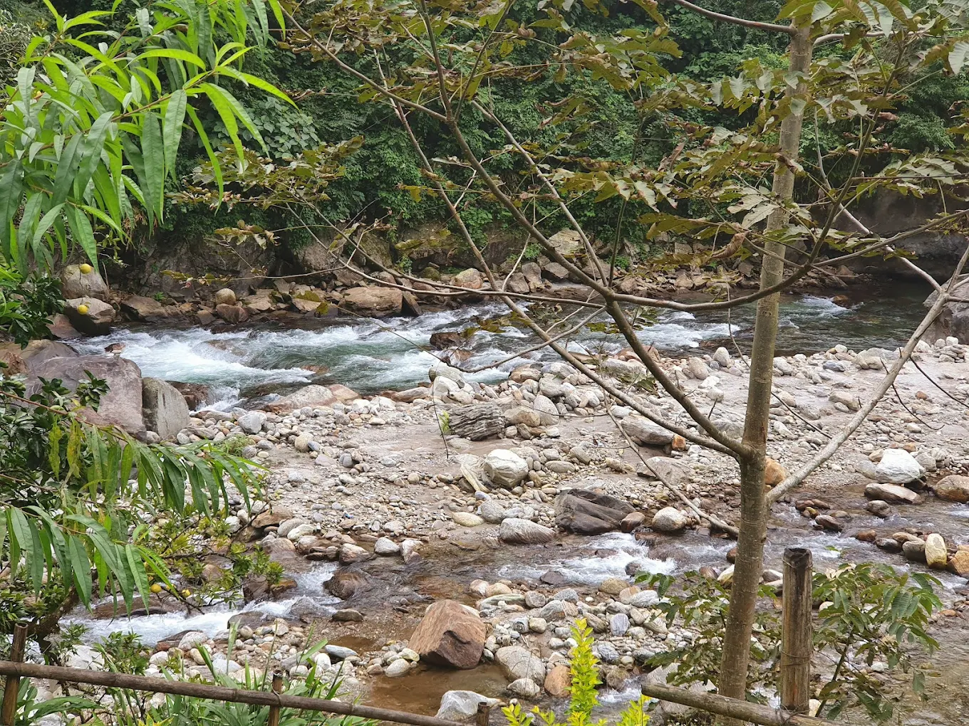 Ravangla, Sikkim, photo 2