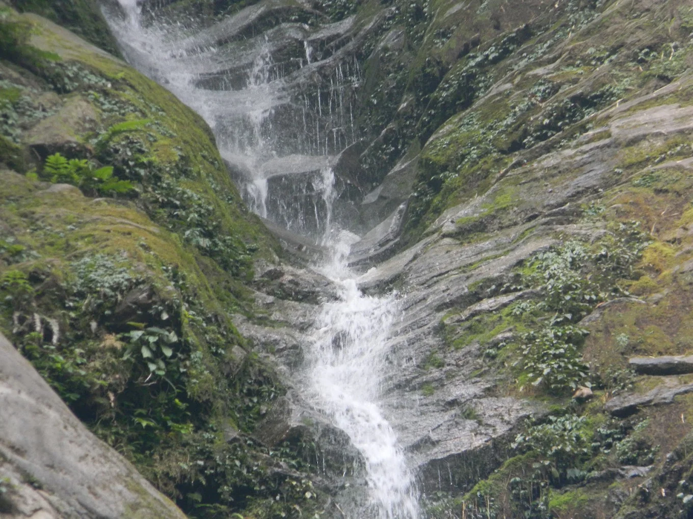 Bermiok, Sikkim, photo 3