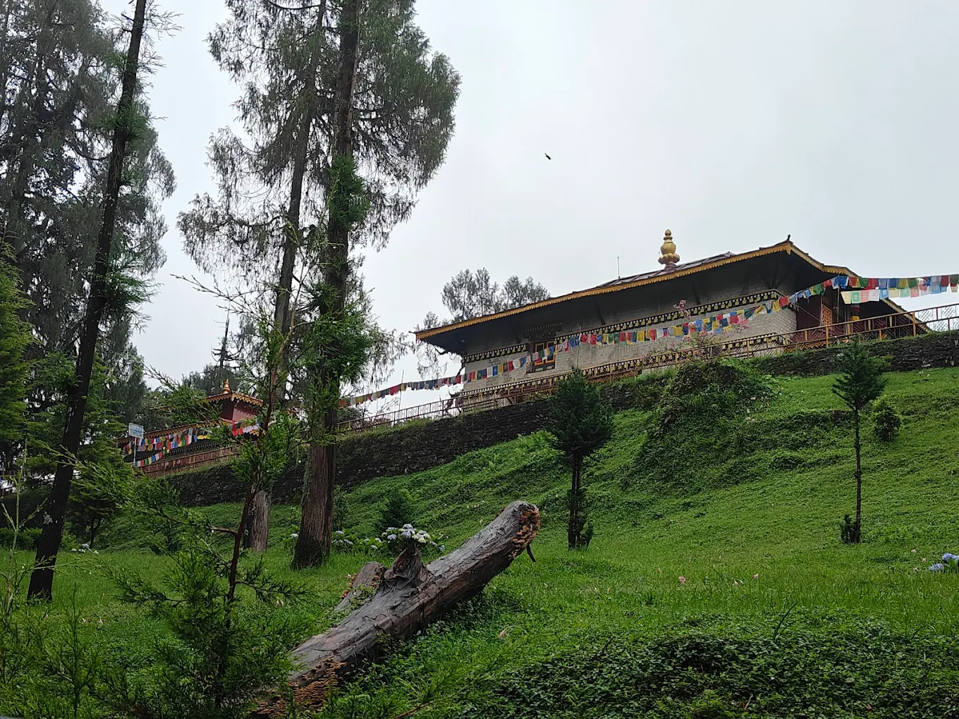 Dubdi Buddhist Monastery - Yuksom, West Sikkim District, Sikkim, India, photo 2 of 9