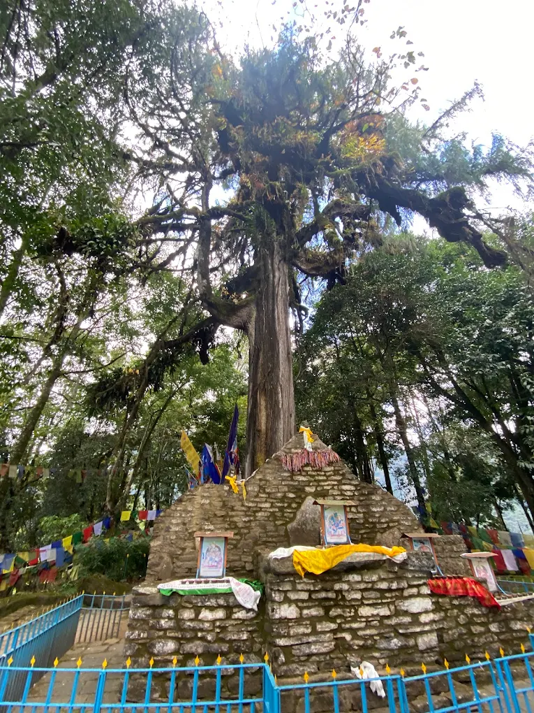Norbu gang, Coronation throne of Namgyal Dynasty, photo 1 of 8
