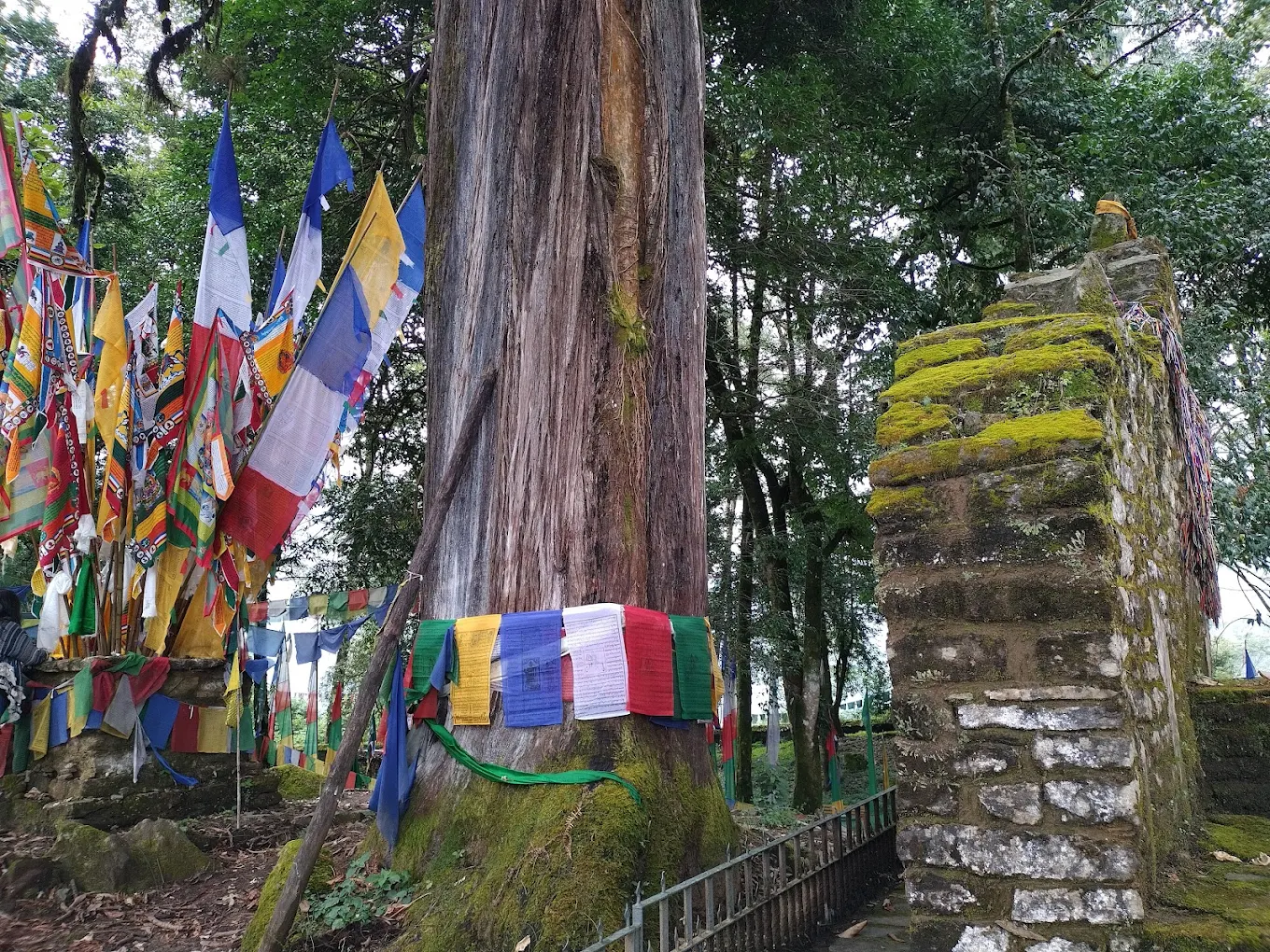 Pelling, Sikkim, photo 4