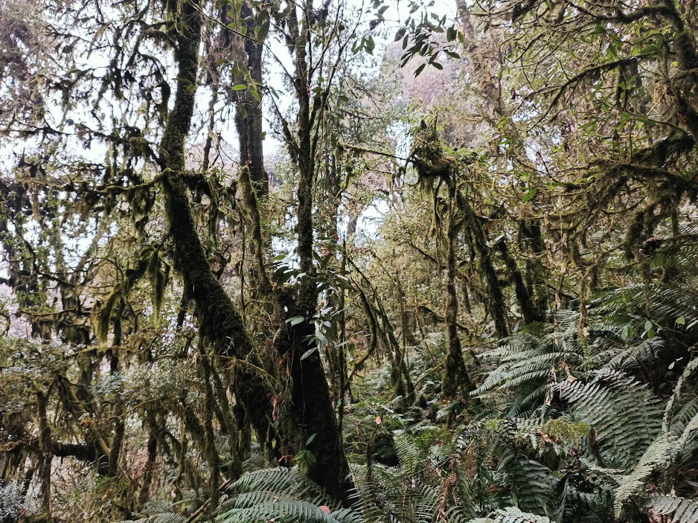 Maenam Wildlife Sanctuary, photo 1 of 11