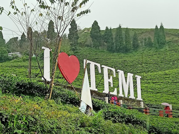 Temi, photo 2 of 10