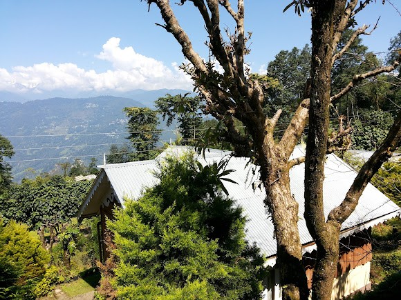 Namchi, Sikkim, photo 4