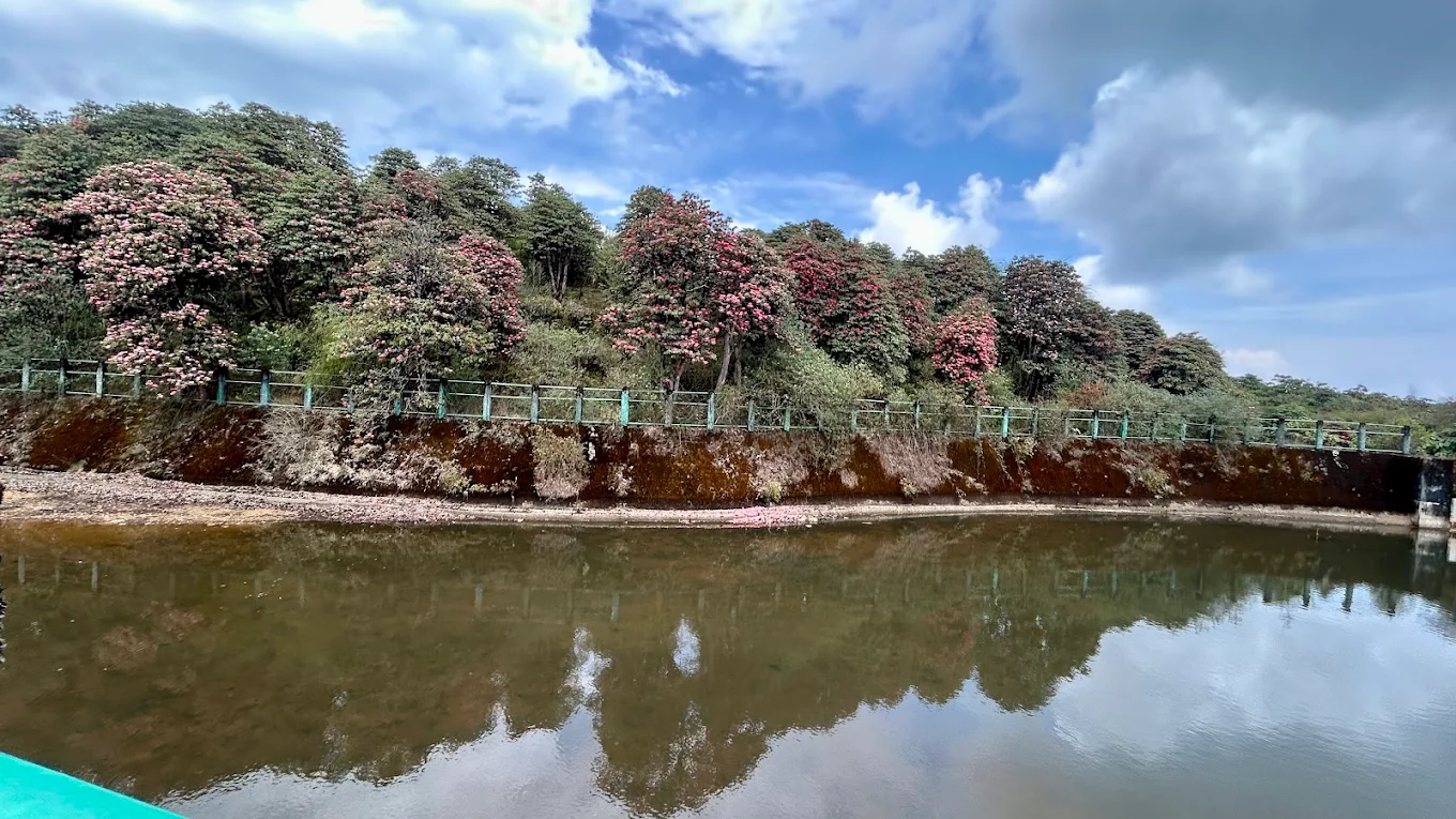 Barsey Rhododendron Sanctuary, photo 3 of 7