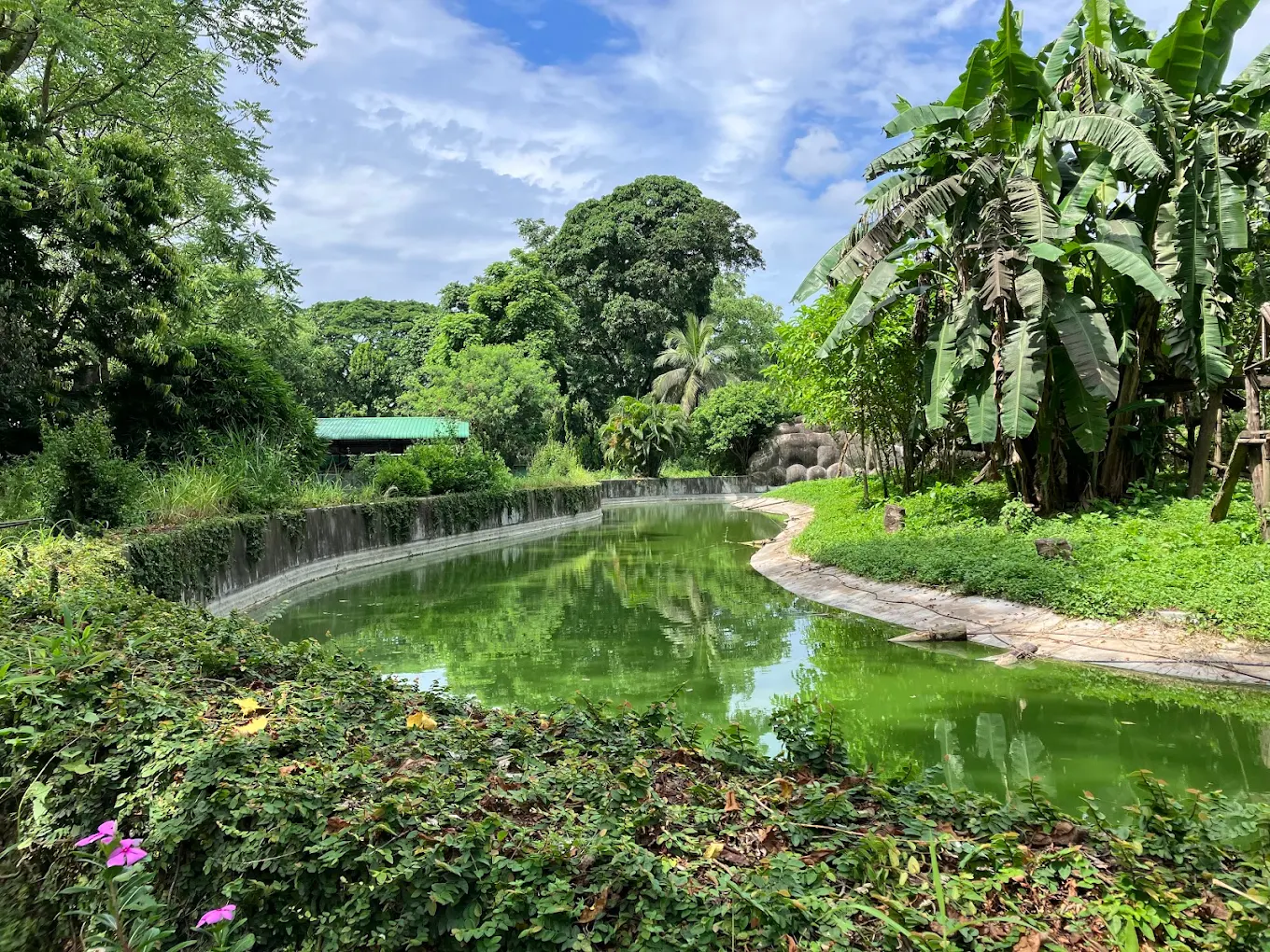 Assam State Zoo cum Botanical Garden, photo 2 of 10