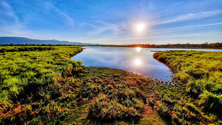 Kaziranga National Park, photo 2 of 12