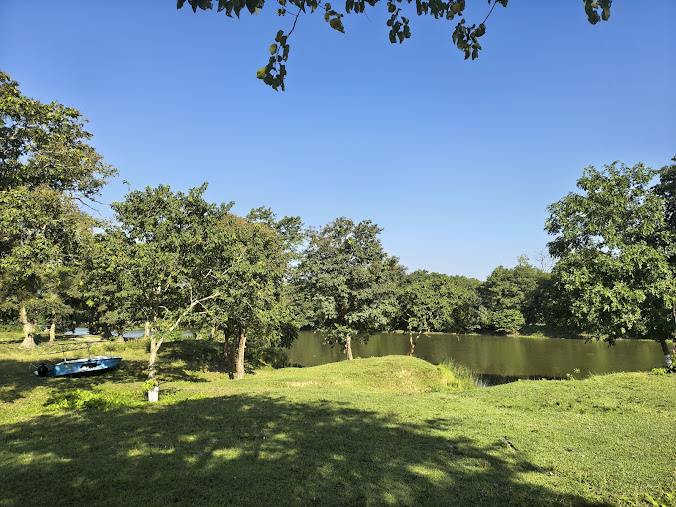 Kaziranga National Park, photo 3 of 12