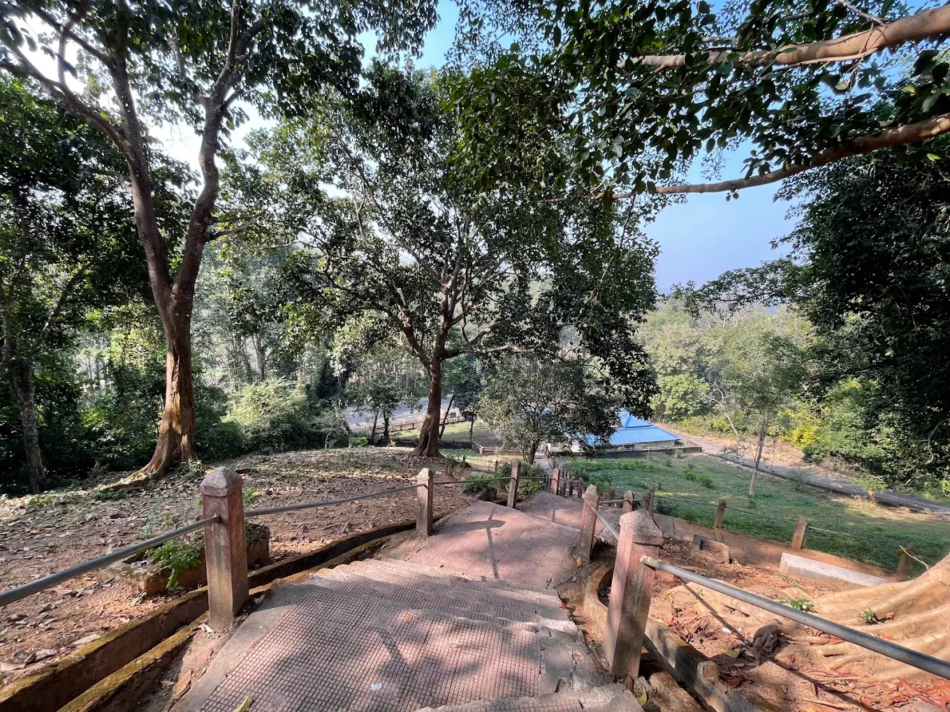 Kaziranga, Assam, photo 3